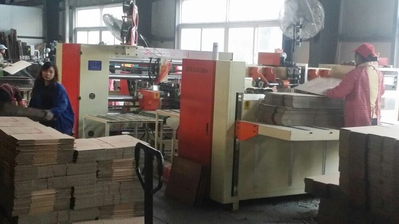 全自动装箱机：揭秘其核心参数与选购要点**